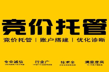 百度竞价公司成功案例揭秘：如何快速提升品牌曝光度